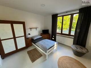 785586c8-b6c1-4b60-84c1-f6ecada0ec06.jpg