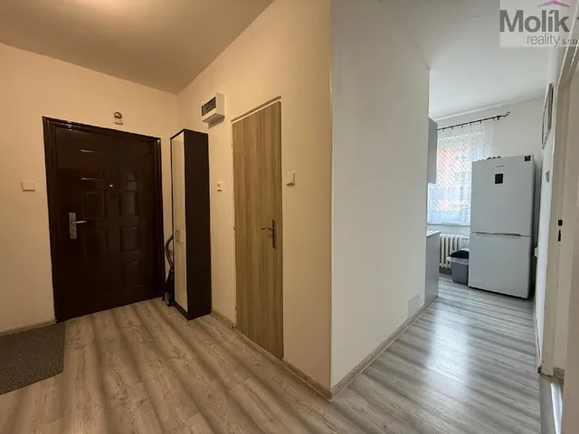 stažený soubor (21)