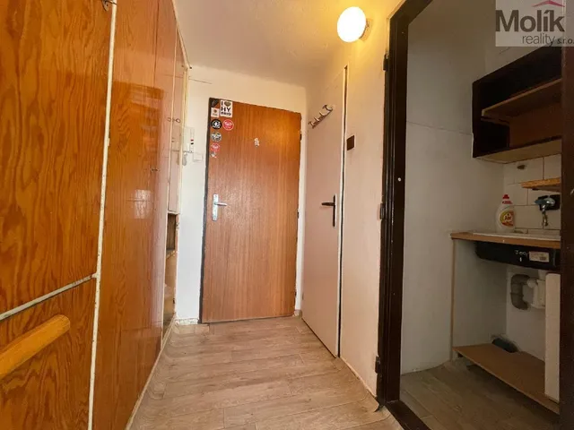 stažený soubor (15)