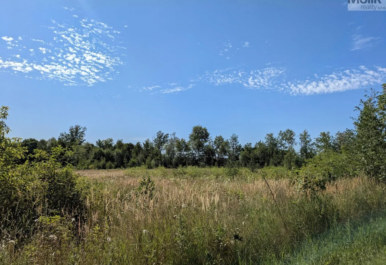 PXL_20260729_081732311.MP (1)