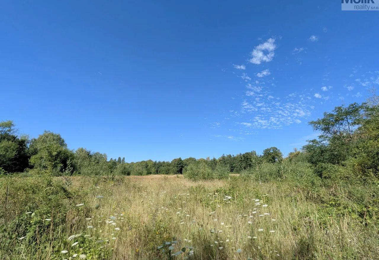 PXL_20260729_081337115