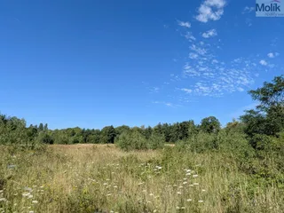 PXL_20260729_081358461