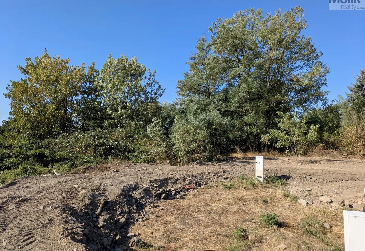 PXL_20260807_071008653
