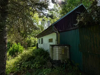 DSC04424