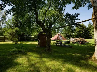 DSC04384