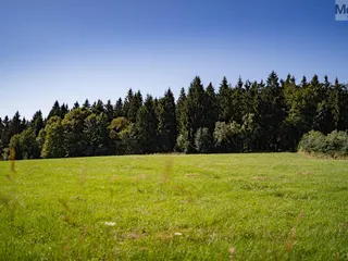 DSC04434