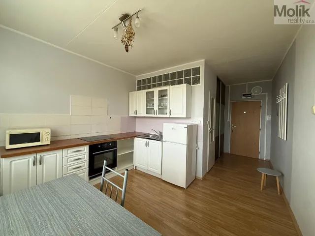 Pronájem bytu 1+1 35 m²