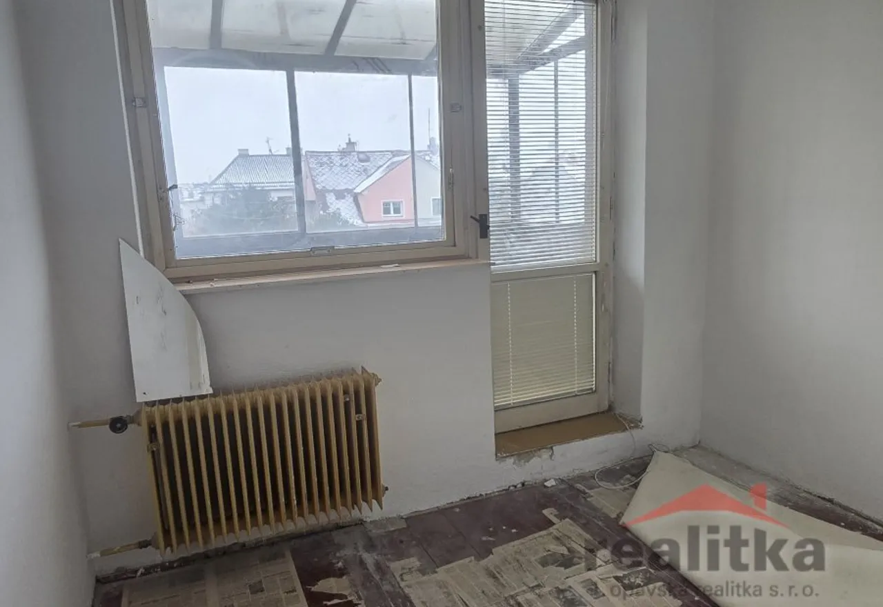20260203_133058.jpg