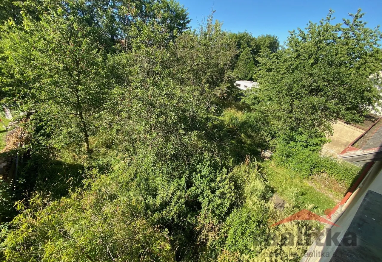 IMG_5638.jpeg
