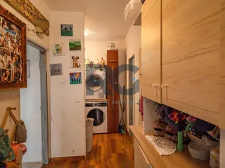 DSC08242.jpg