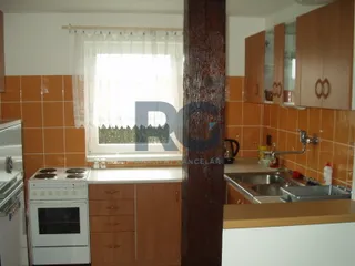 P1010007.JPG