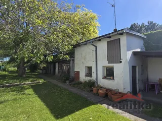 20260528_095930.jpg