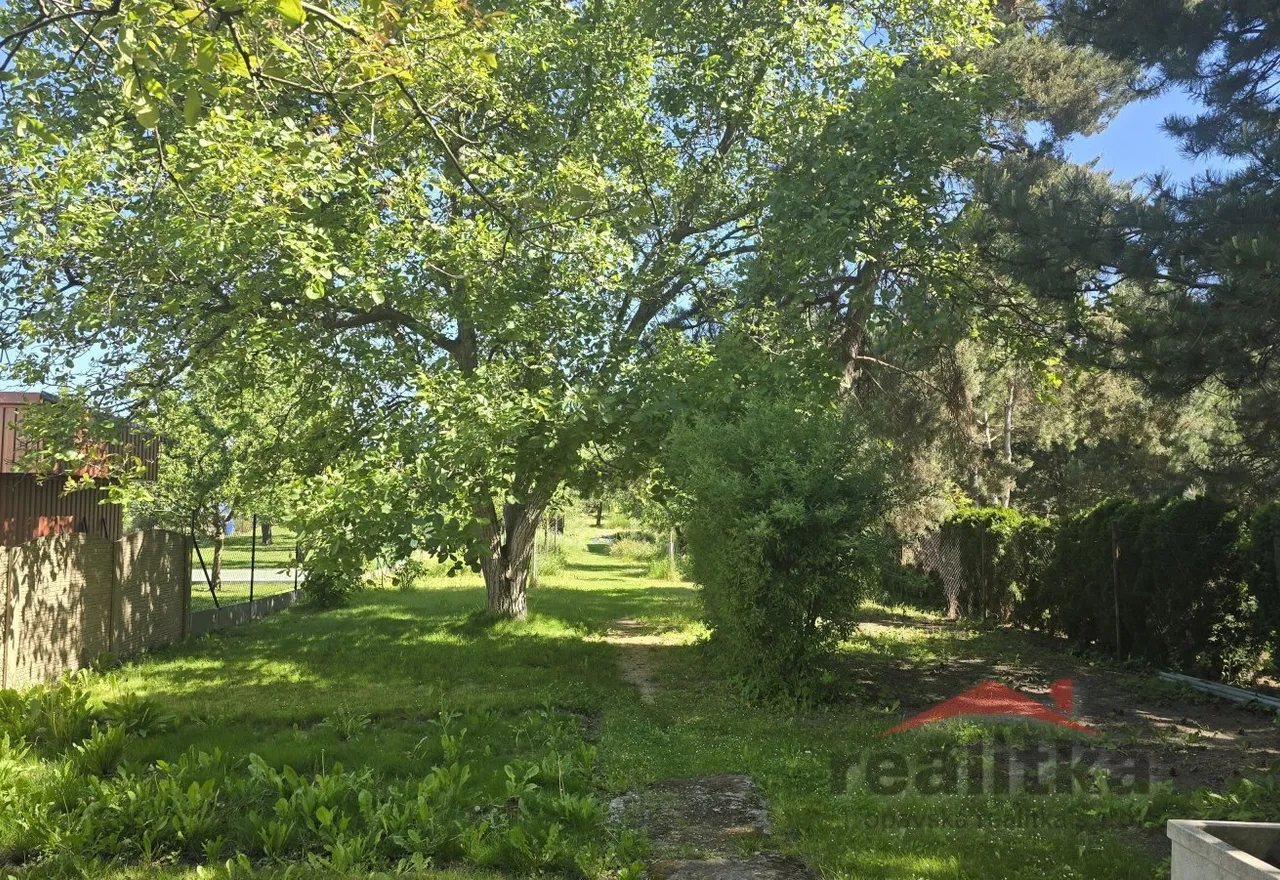 20260528_095947.jpg