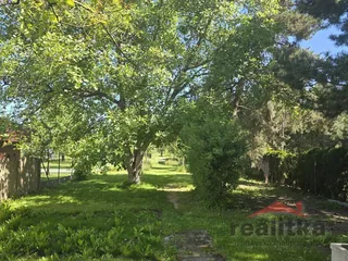 20260528_095947.jpg