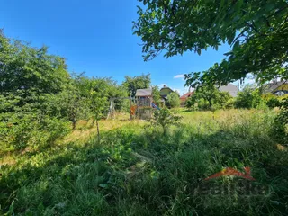 20260703_105242.jpg