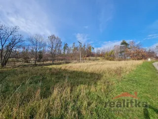 20251114_115815.jpg