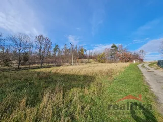 20251114_115816.jpg