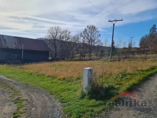 20251114_115655.jpg