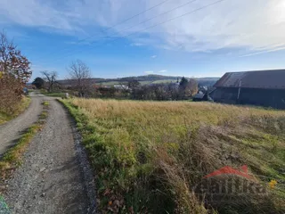 20251114_115729.jpg