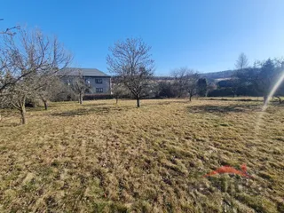 20260309_100141.jpg