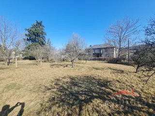 20260309_100154_001.jpg
