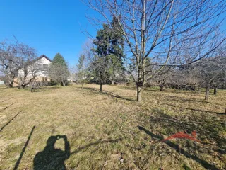 20260309_100132.jpg