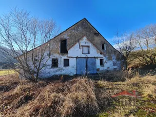 20260226_092947.jpg