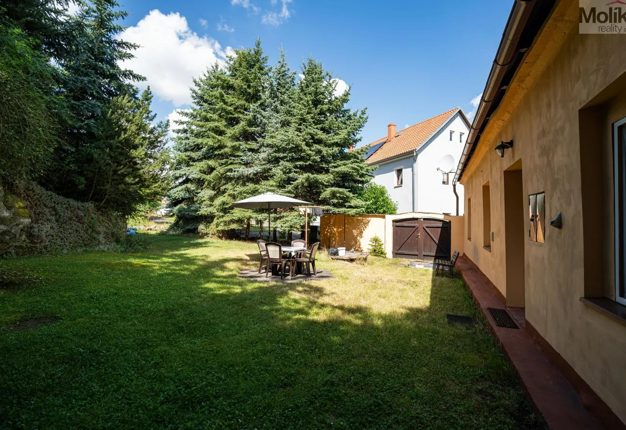 DSC06206