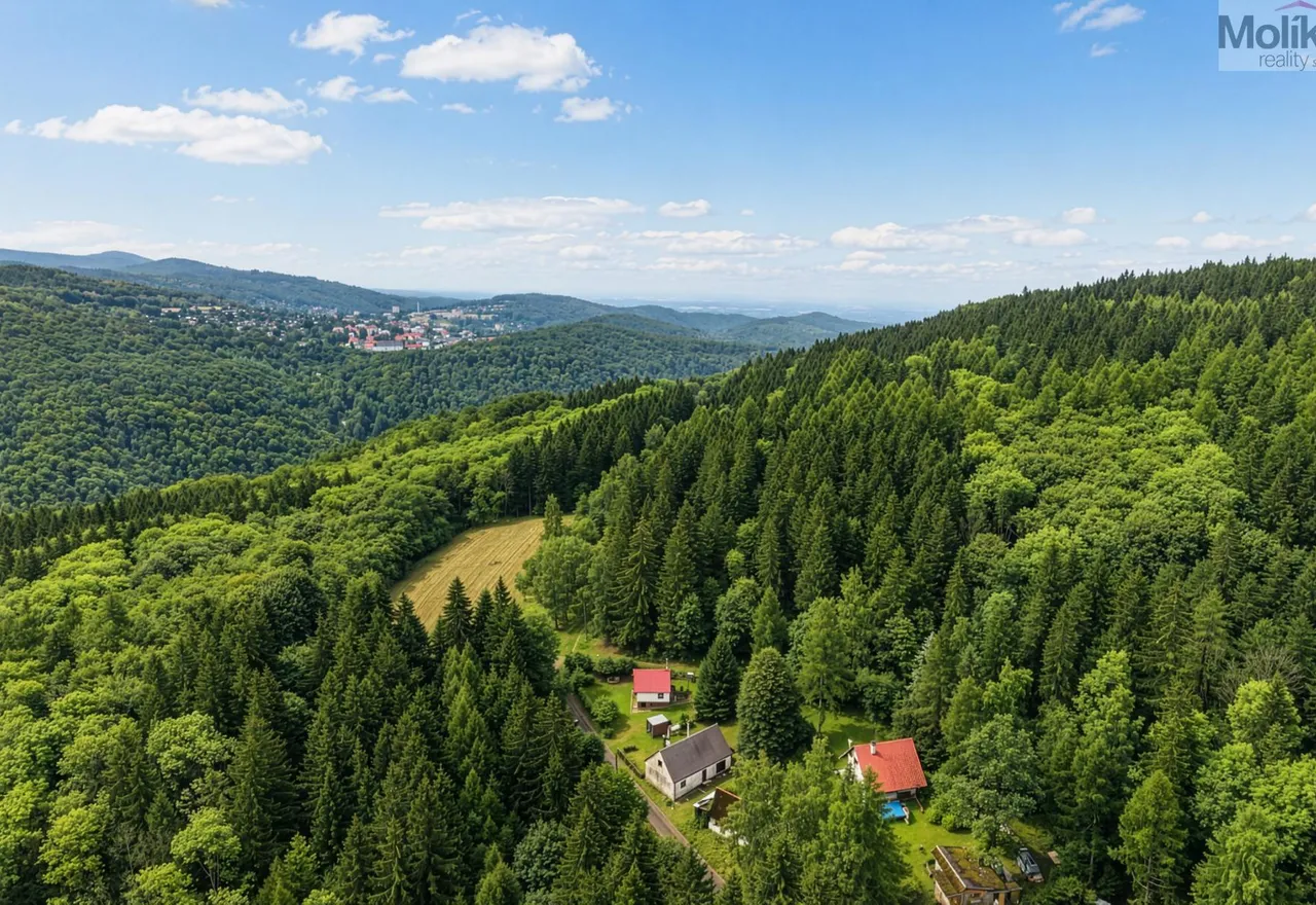 Pohled na chalupu a okolí