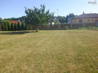 DSCF8019.JPG