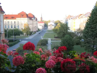 004.jpg