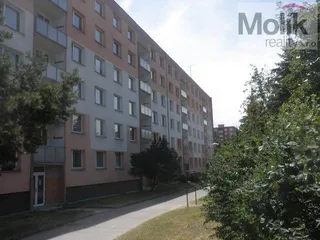 P1010061.JPG