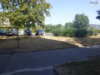 DSCF8868.JPG