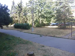 DSCF8869.JPG