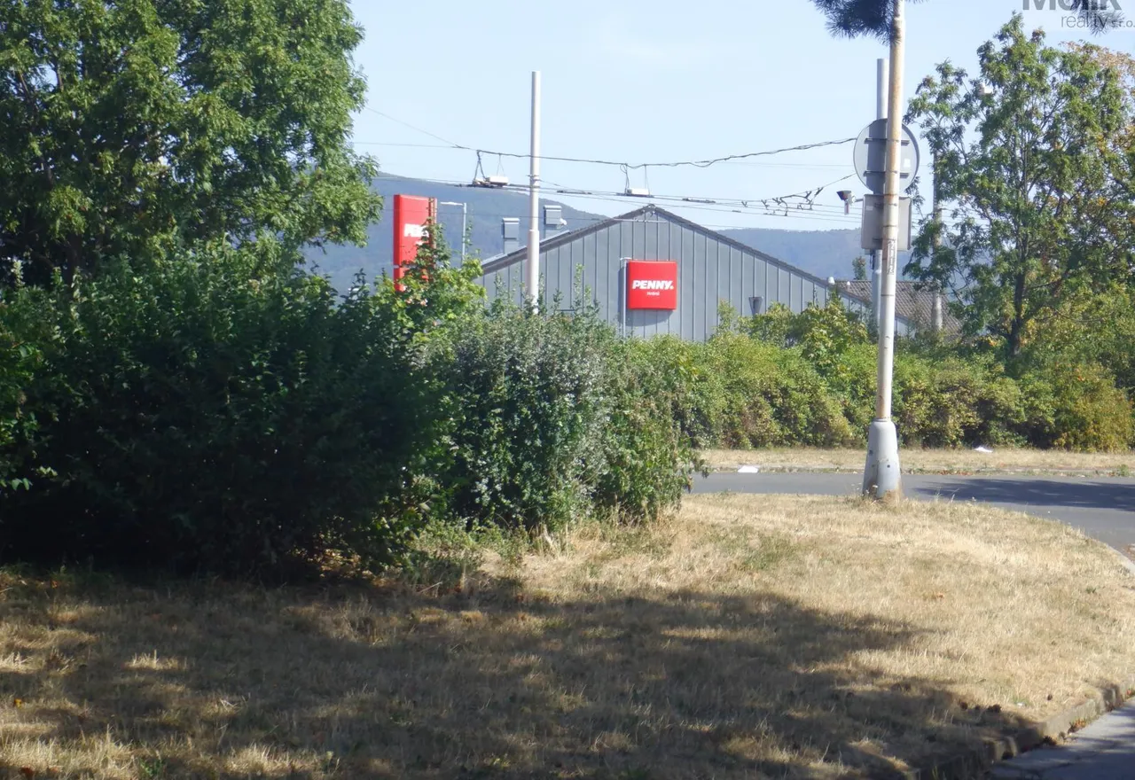 DSCF8871.JPG