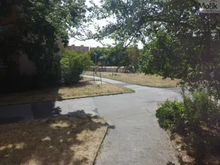 DSCF8845.JPG