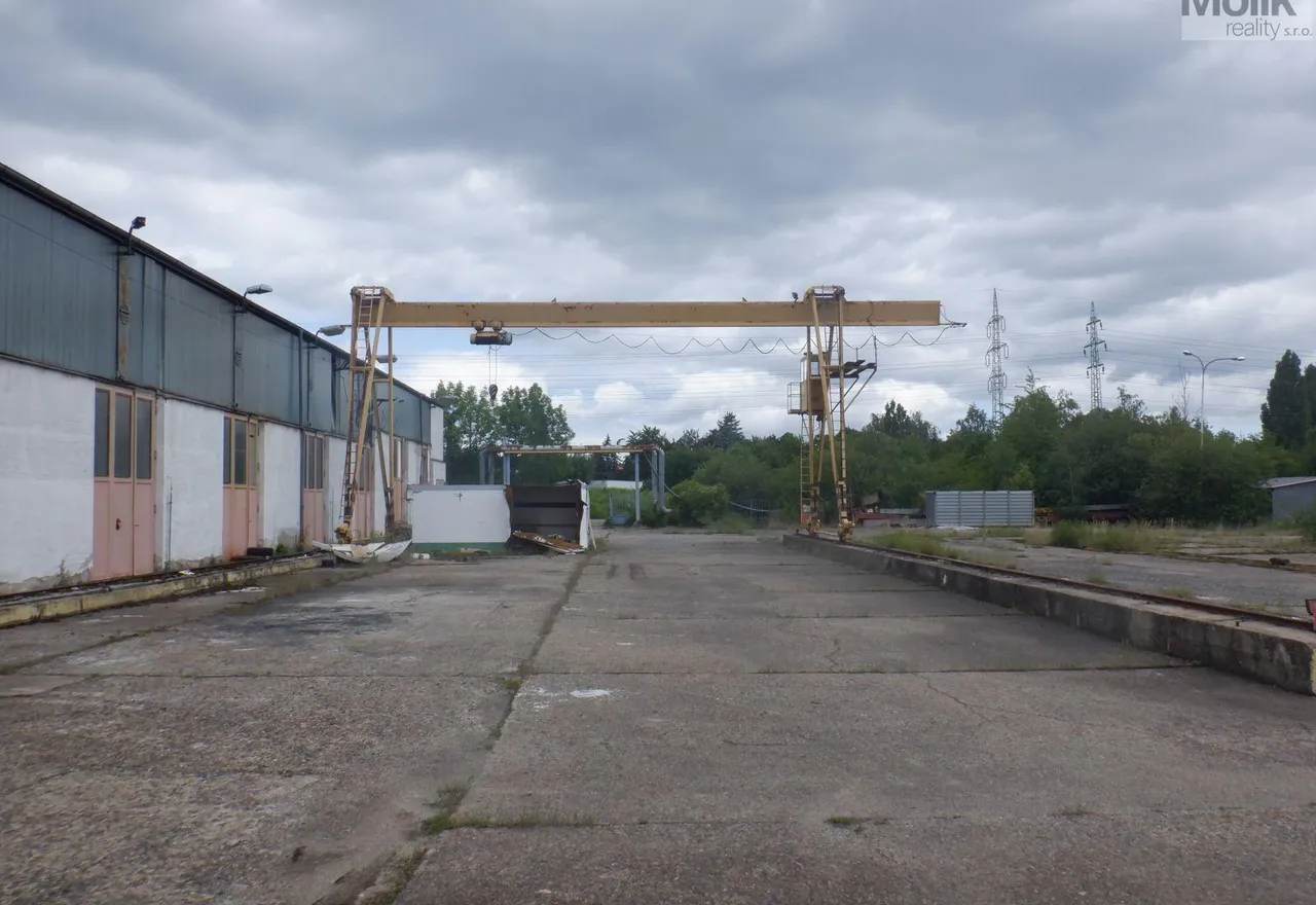 DSCF6778.JPG