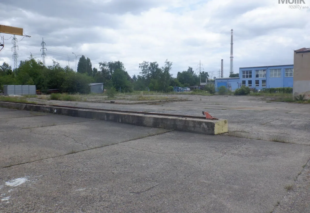 DSCF6785.JPG