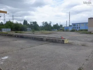 DSCF6785.JPG