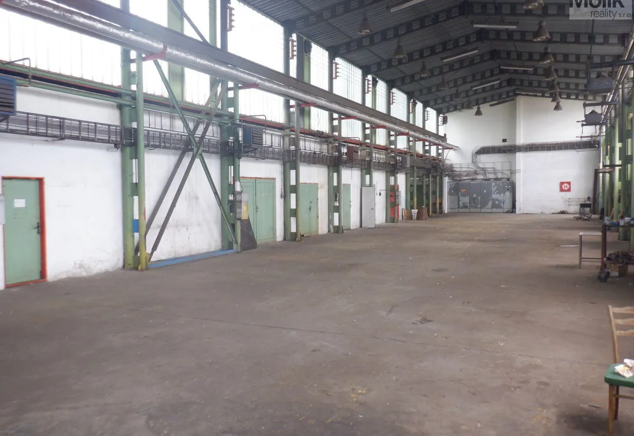 DSCF6786.JPG