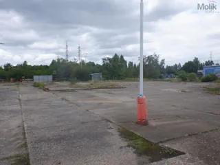 DSCF6784.JPG