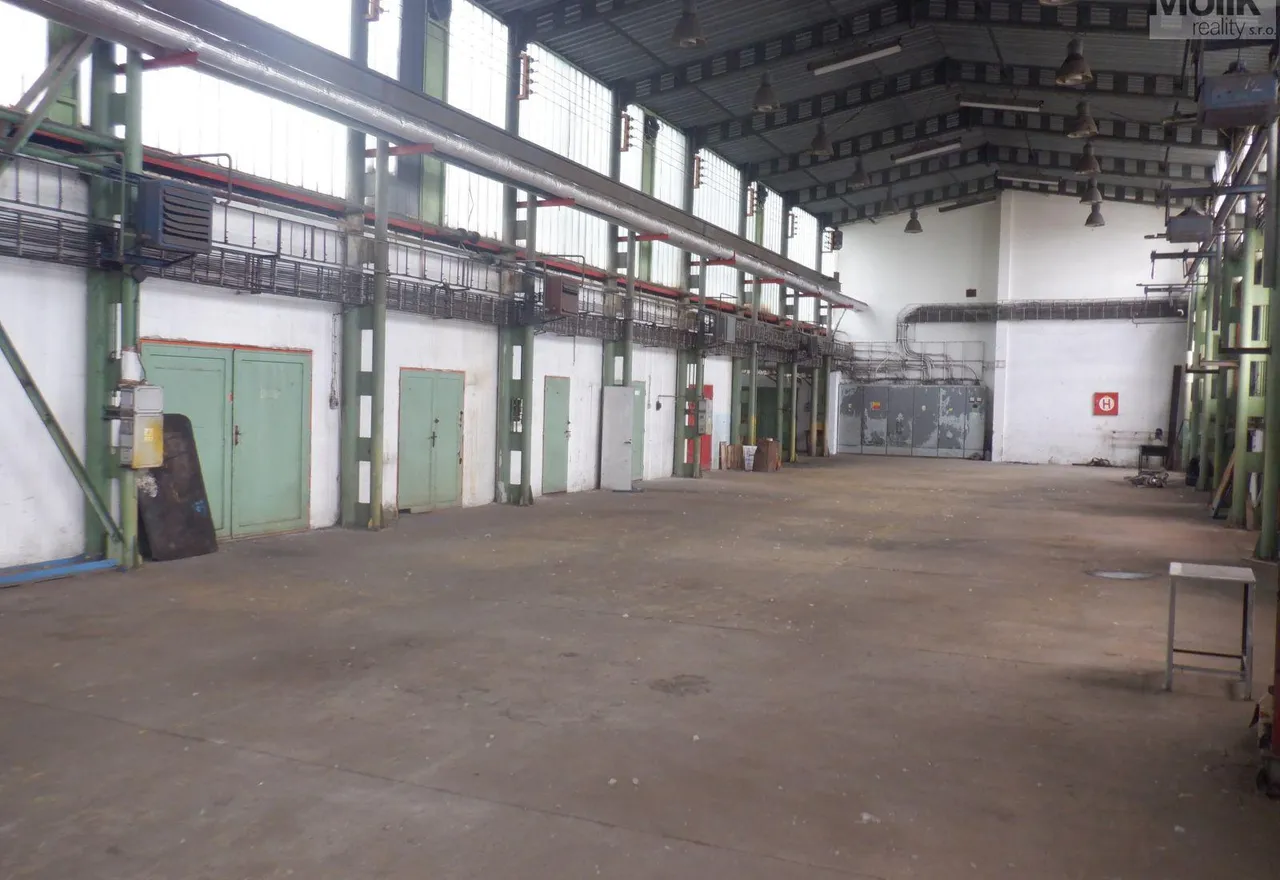 DSCF6788.JPG