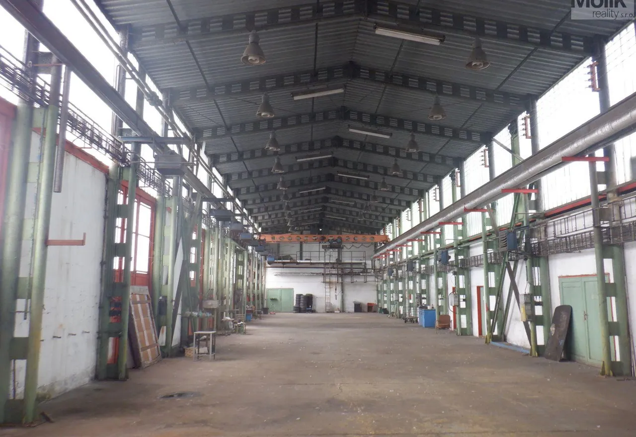 DSCF6790.JPG