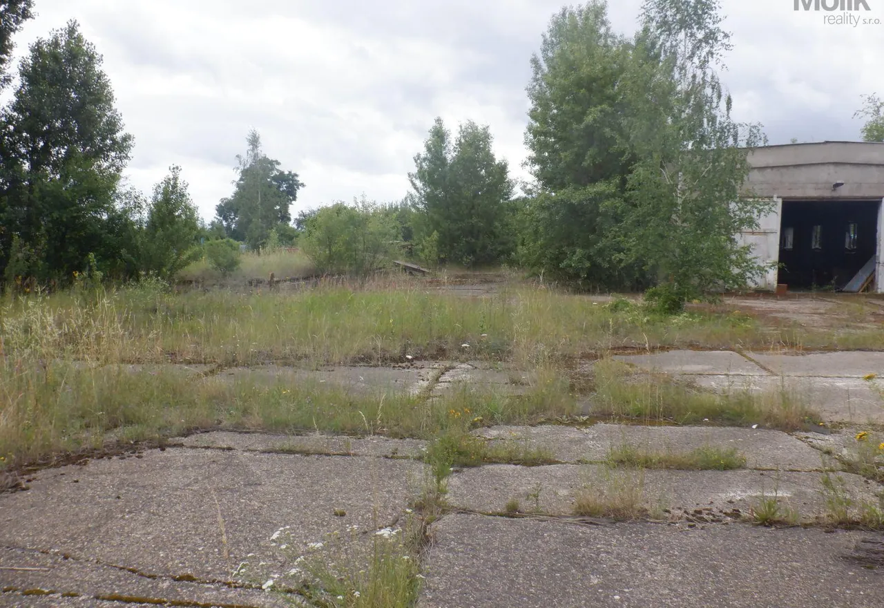 DSCF6797.JPG