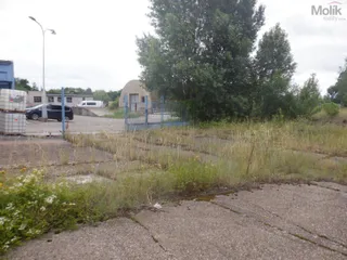 DSCF6796.JPG