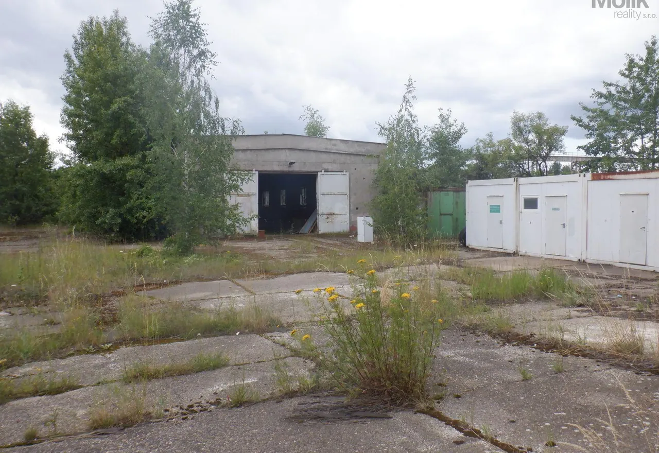 DSCF6798.JPG