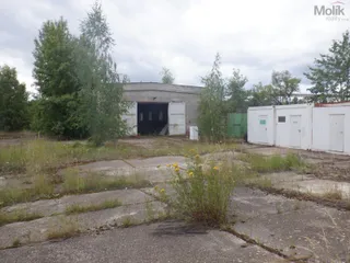 DSCF6798.JPG