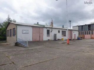 DSCF6822.JPG