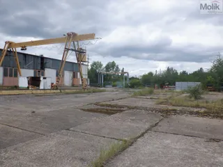 DSCF6823.JPG