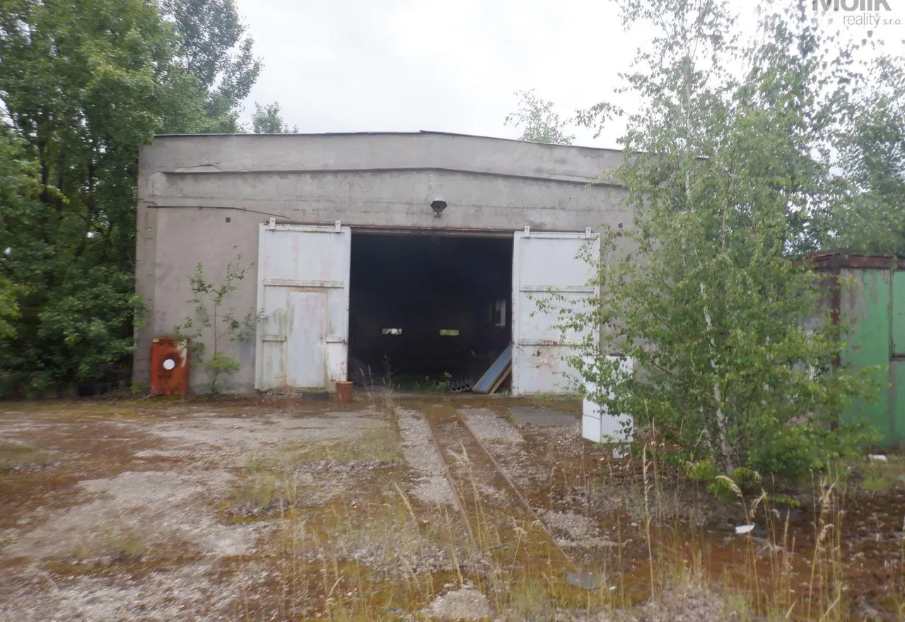 DSCF6800.JPG